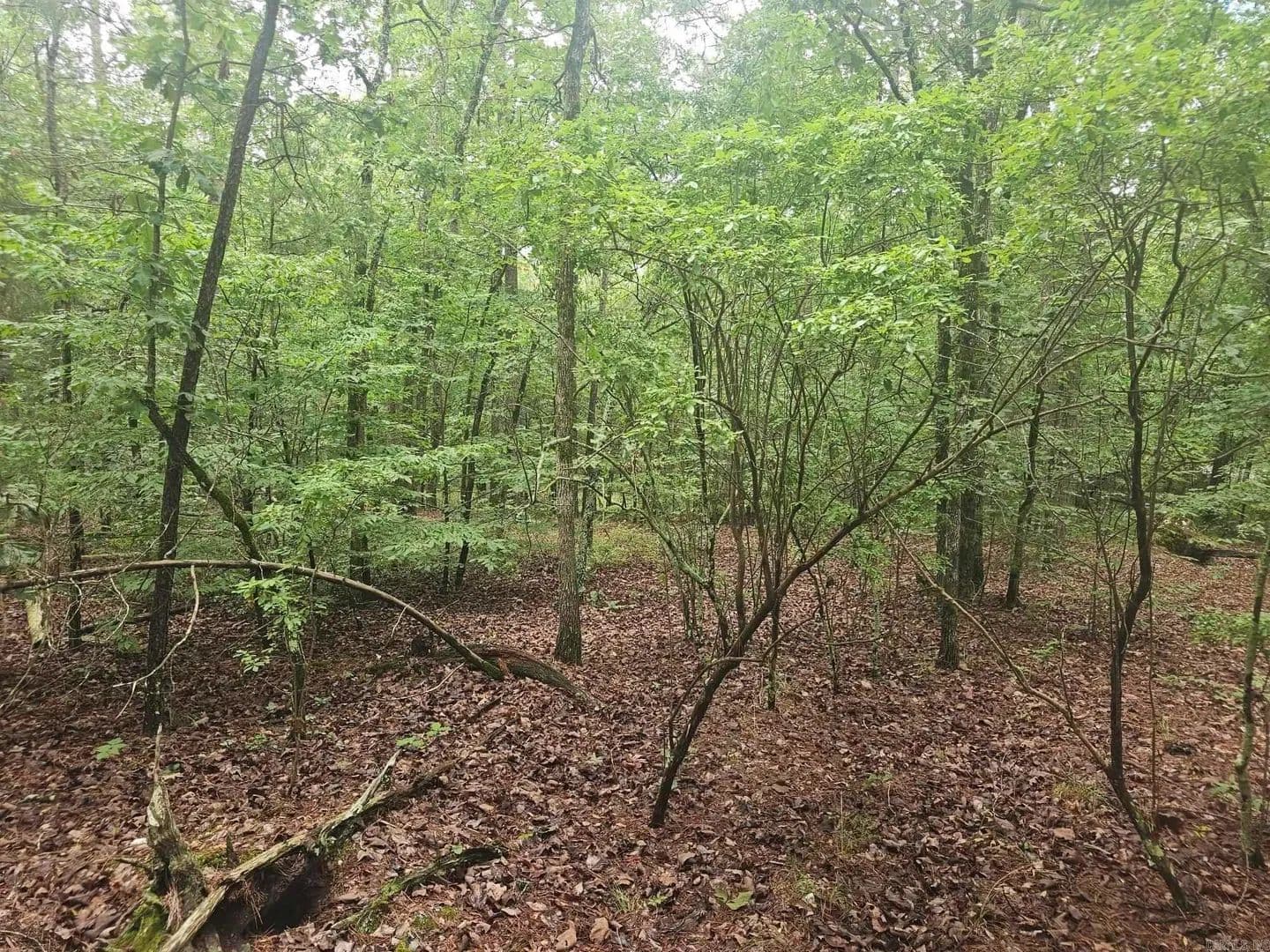 Property from 00 Glorieto Way - KW - Hot Springs Village, Arkansas, 71909