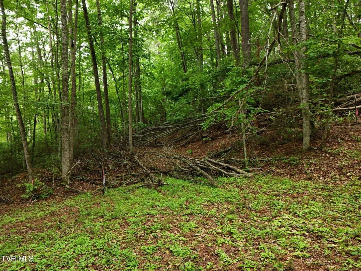 0.39 Acres of Land for Sale in Greeneville, TN - Greeneville, Tennessee, 37743