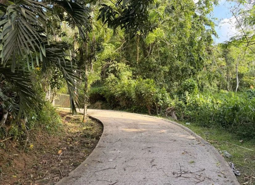 4495 Acres of Land for Sale in Guaynabo - land for sale