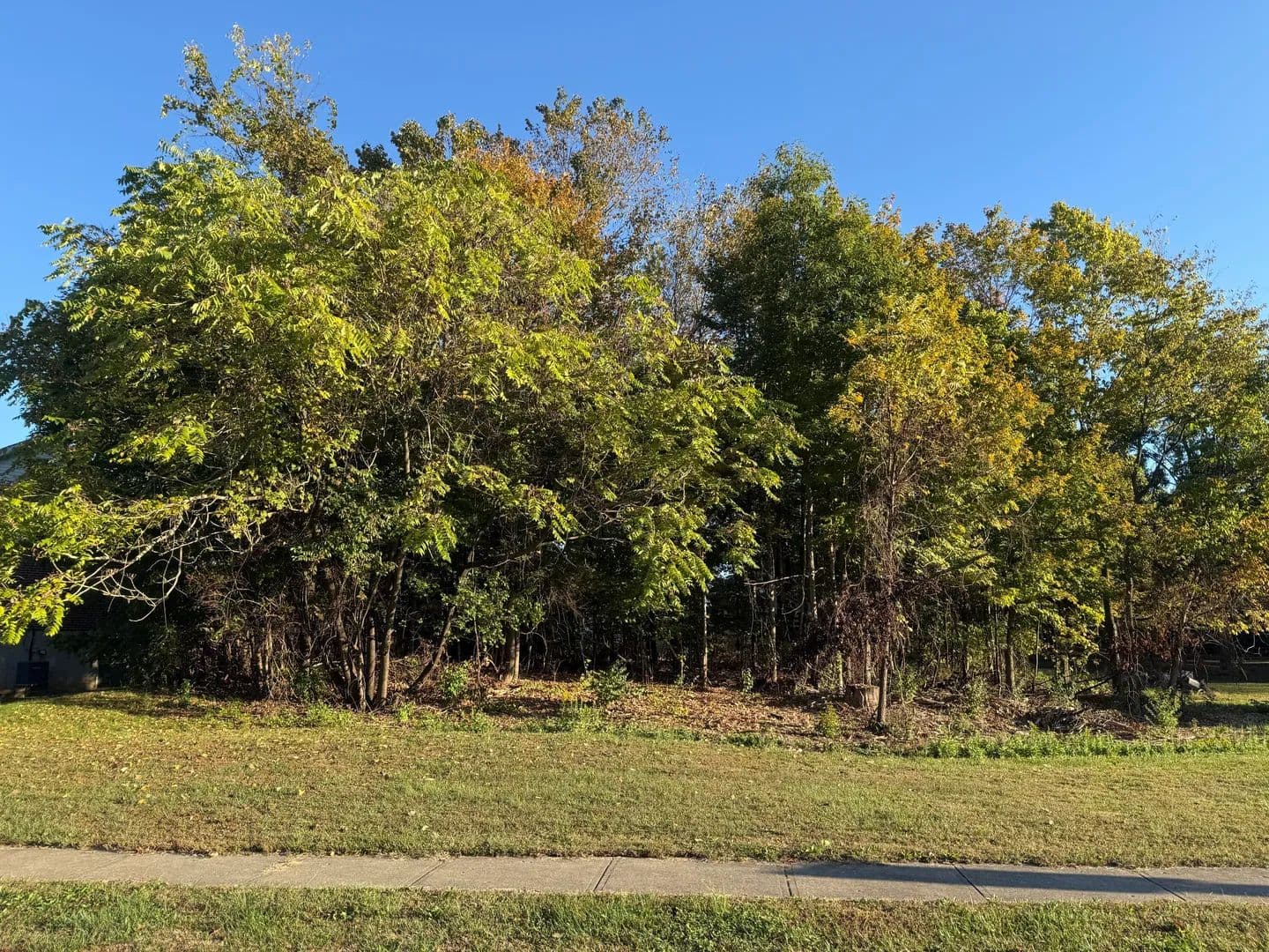 Property from 4895 Dartmouth Drive #lot 101 - KW - Florence, Kentucky, 41042