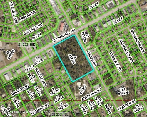Vacant Land in Spring Hill - land for sale