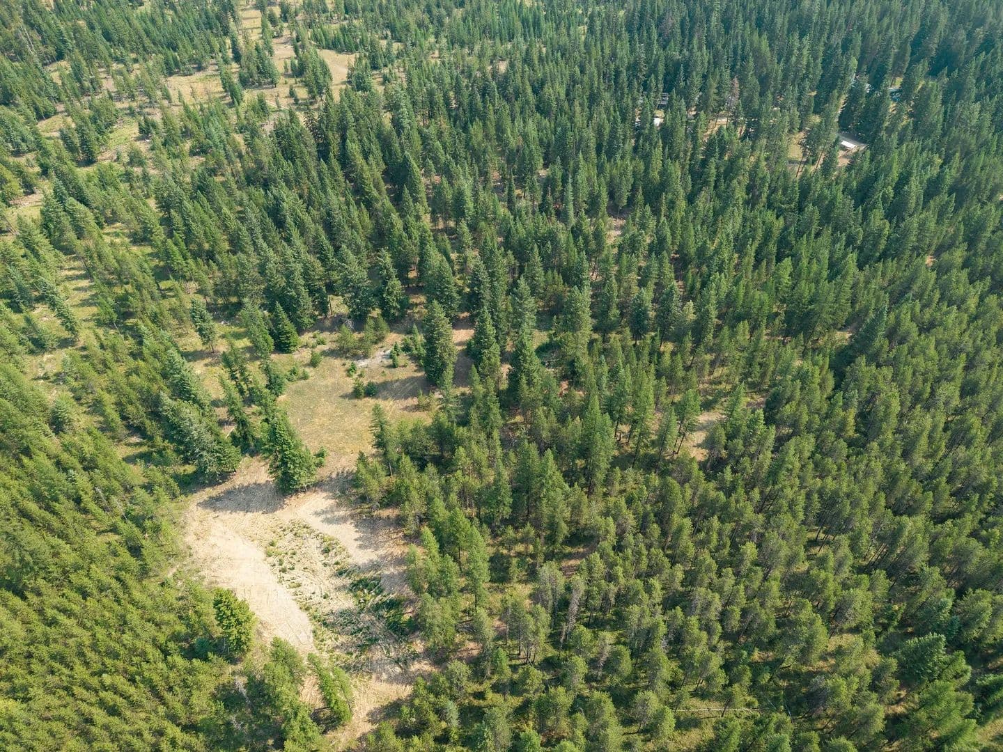 Land -Agricultural (Not Zoned) in Bonners Ferry - Bonners Ferry, Idaho, 83805