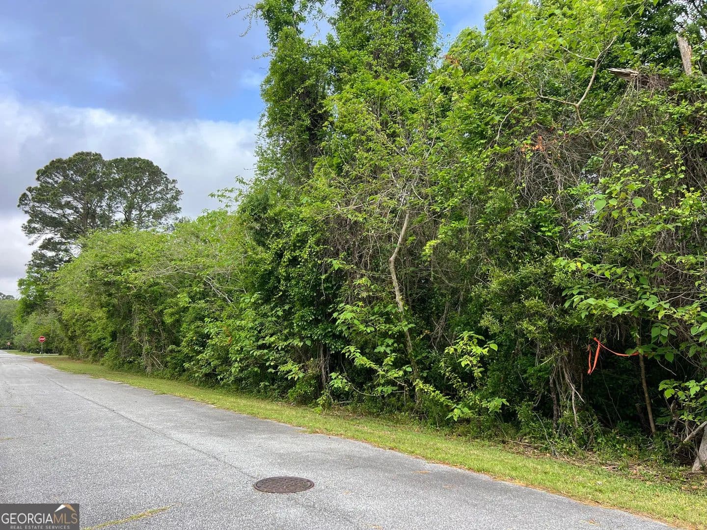 Lots & Land-Other in St. Marys - land for sale