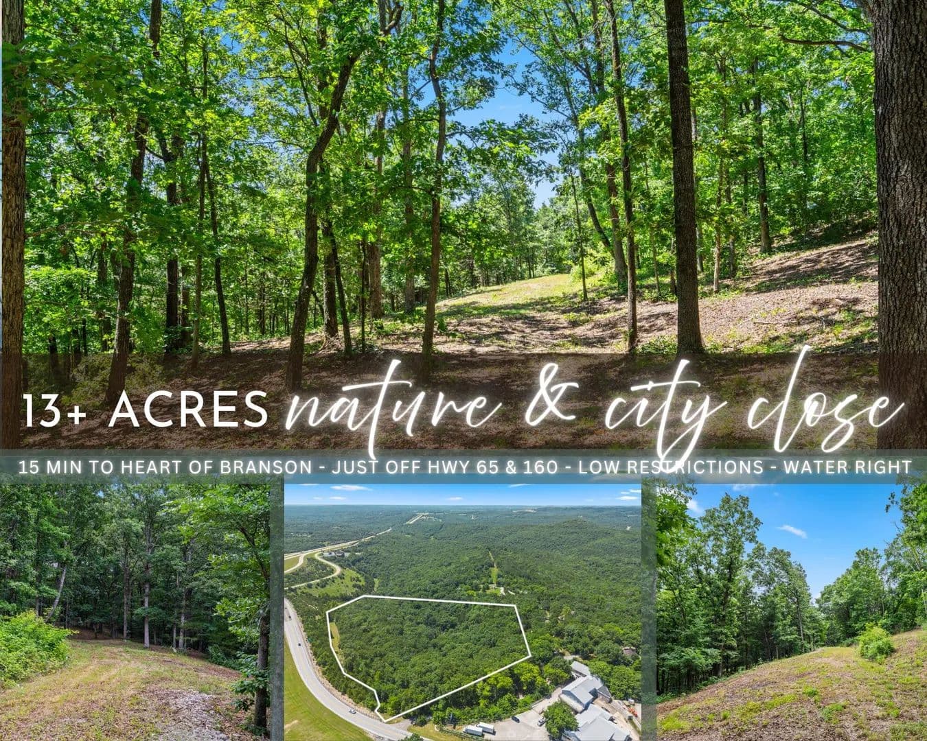 13.21 Acres of Land for Sale in Walnut Shade, MO - Walnut Shade, Missouri, 65771