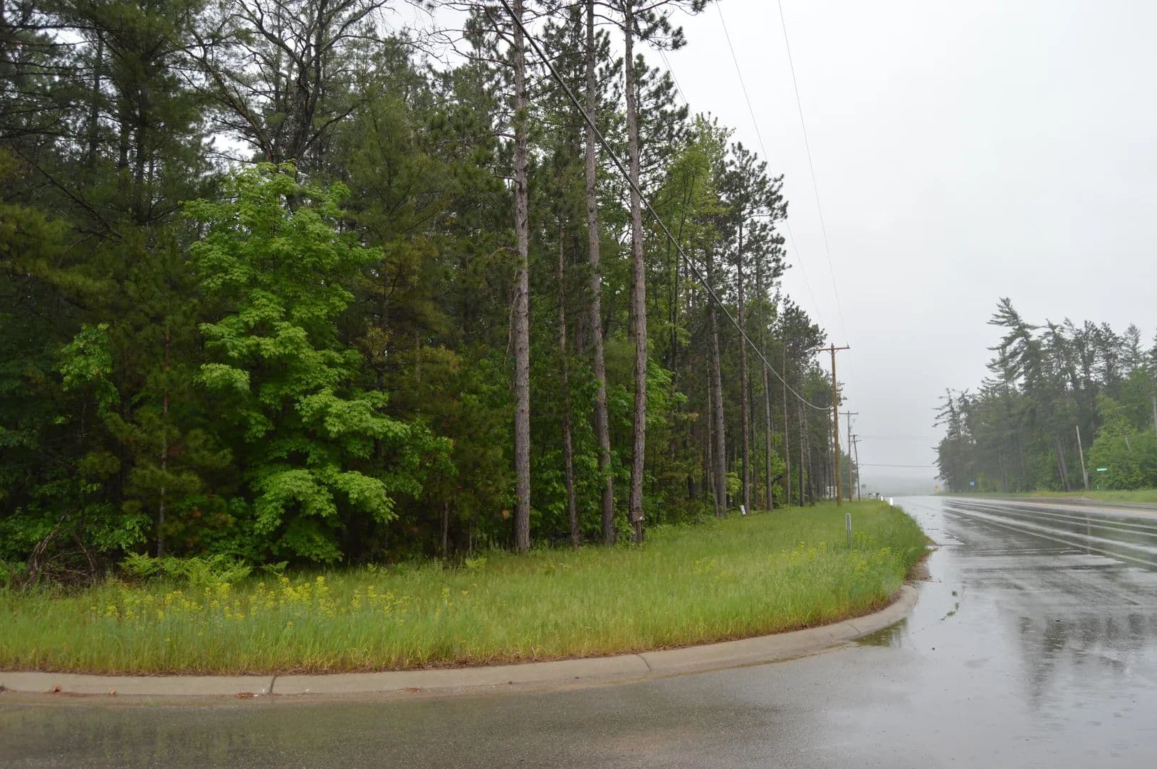 Property from L 14-16 N Mount Tom Road - KW - Mio, Michigan, 48647