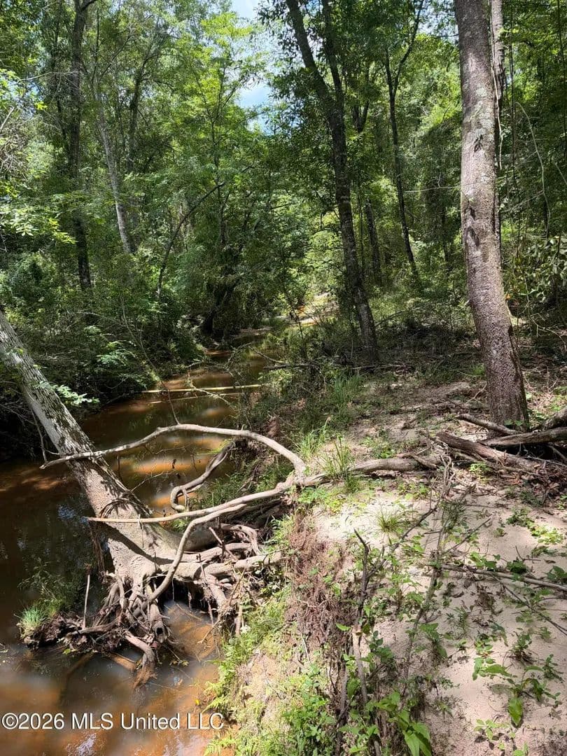 Property from River Road - KW - Liberty, Mississippi, 39645