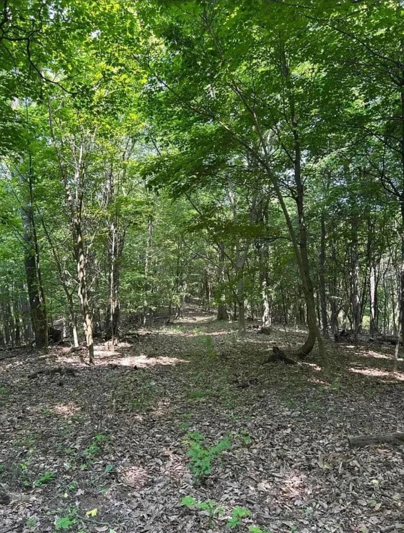 15.5 Acres of Land for Sale in Heath, Ohio - Heath, Ohio, 43056