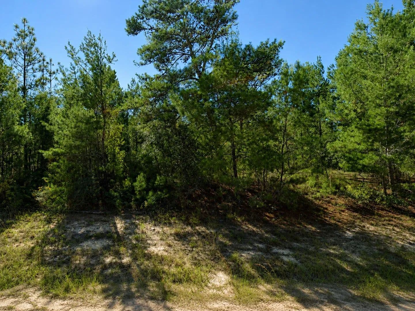 Own Land in Growing Sunny Hills – Minutes from Boat Lake & the Gulf Coast - Chipley, Florida, 32428