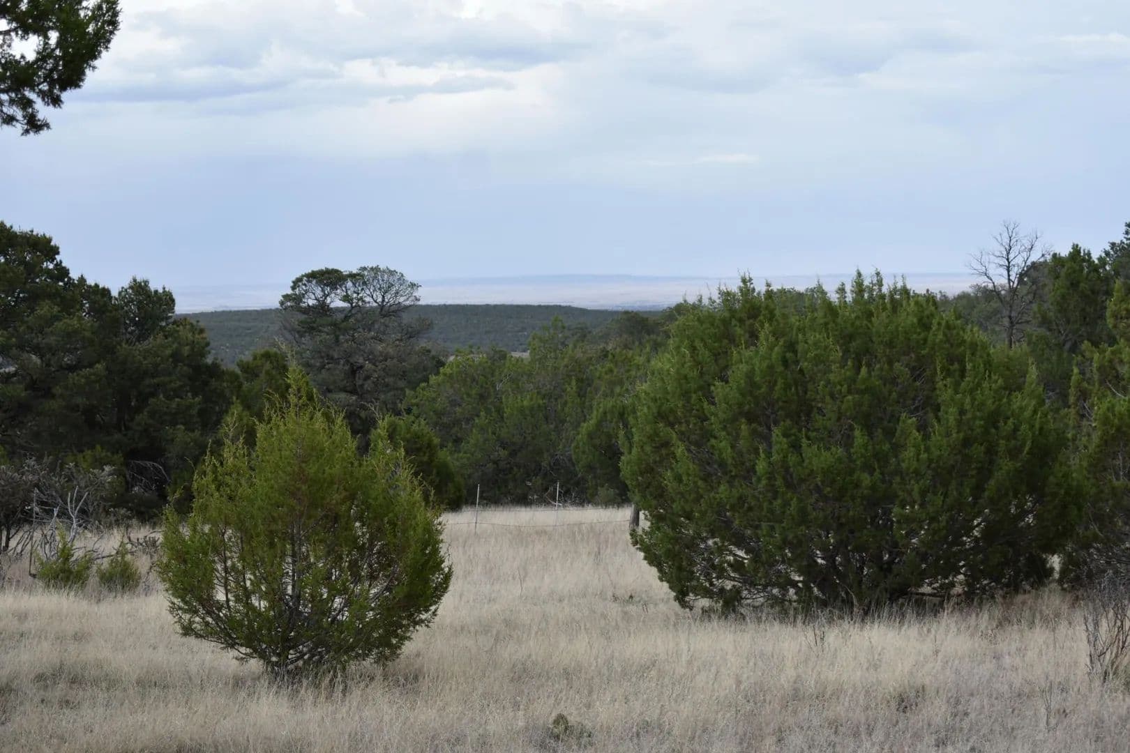 Land -Single Family Acreage in Edgewood - Edgewood, New Mexico, 87015