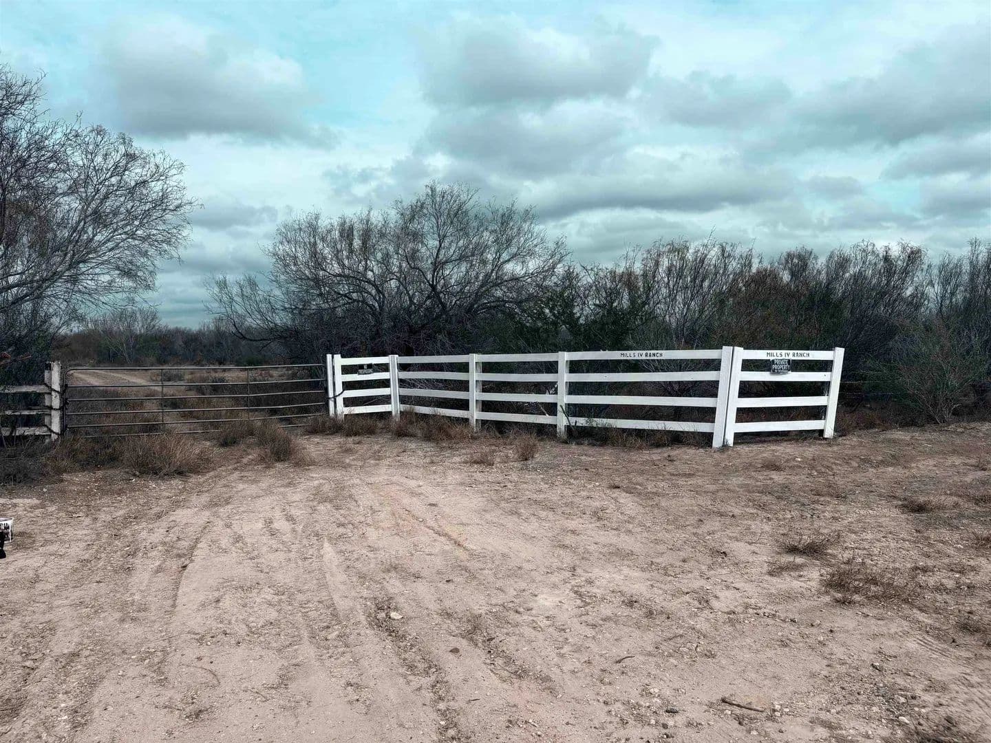 20 Acres of Land for Sale in Encinal, Texas - Encinal, Texas, 78019