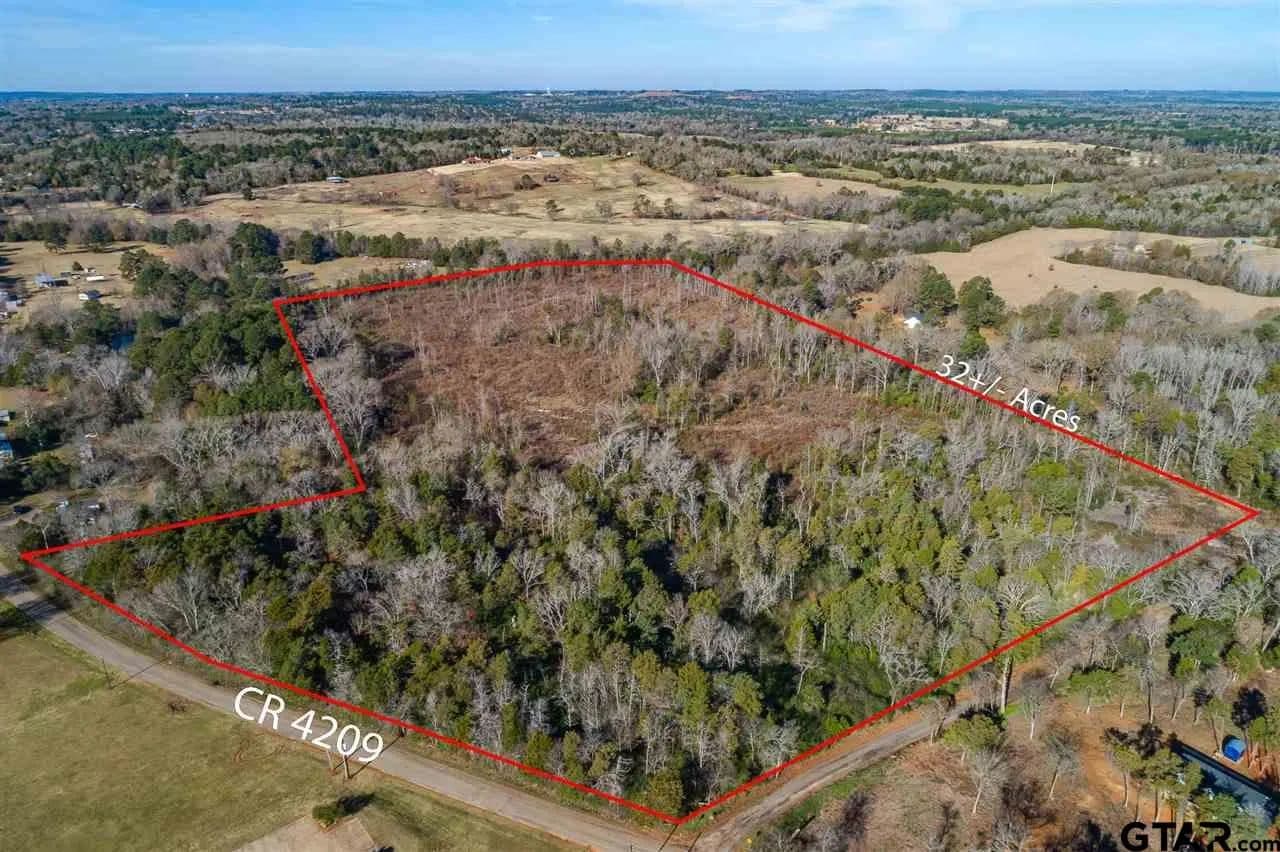 32.19 Acres of Land for Sale in Jacksonville, Texas - Jacksonville, Texas, 75766