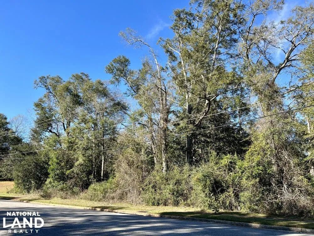Citronelle Apartment Development Site - Citronelle, Alabama, 36522