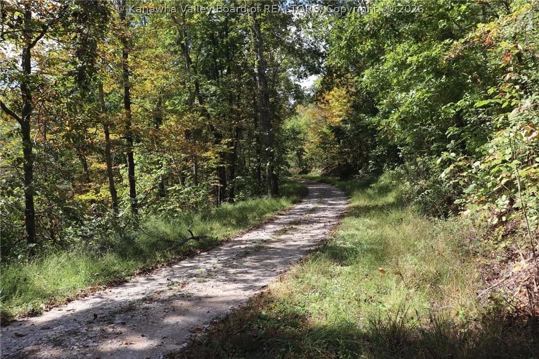 118 Acres of Land for Sale in Walton, WV - Walton, West Virginia, 25286