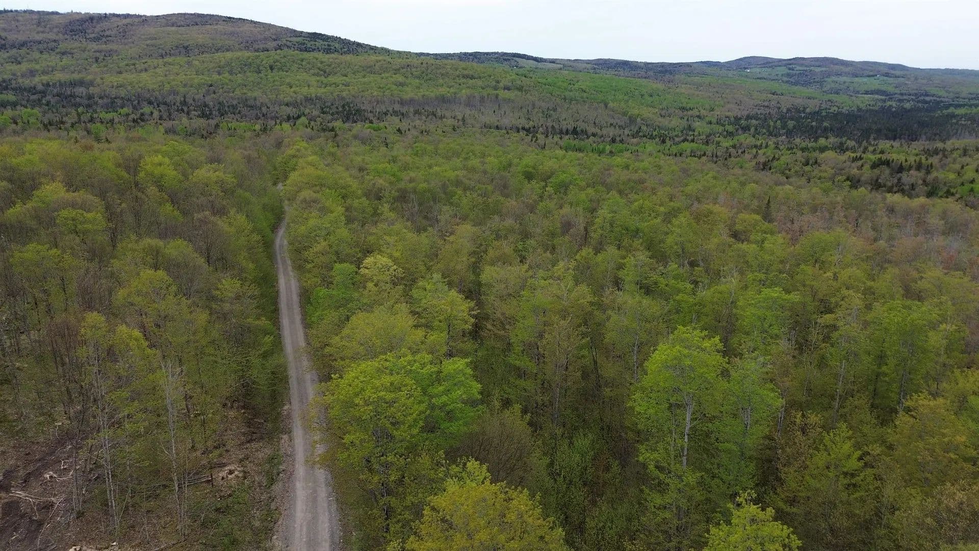 Property from MapB2Lot16 Deadwater Road - KW - Stewartstown, New Hampshire, 3597