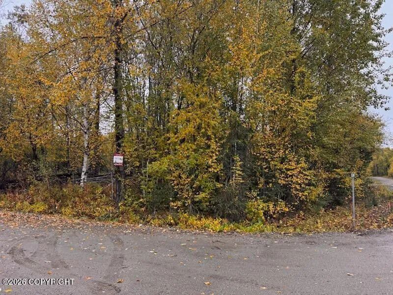 0.92 Acres of Land for Sale in Willow, AK - Willow, Alaska, 99688