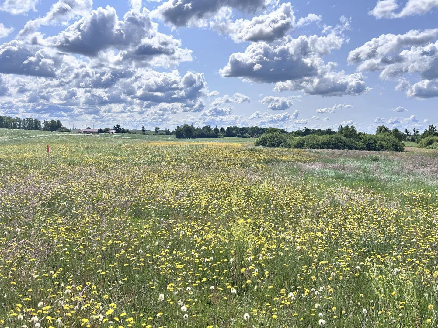 Działka rekreacyjna z warunkami zabudowy - land for sale