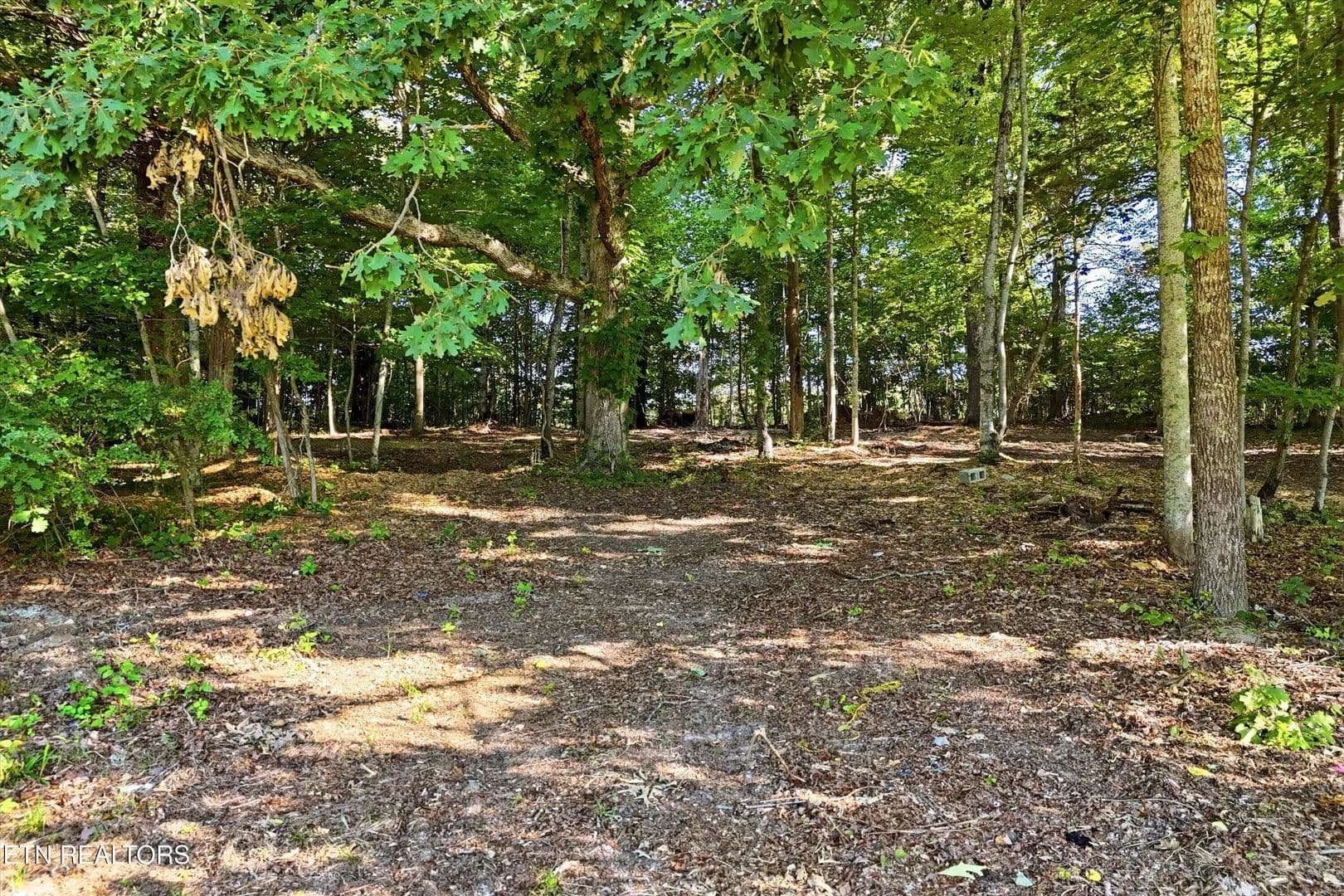 Property from 0 Daniels Rd #A - KW - Knoxville, Tennessee, 37938