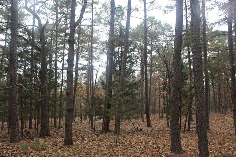 Turn-key Bug-out Getaway in Kiamichi Wilderness, Moyers, Pushmataha County OK 2.5AC