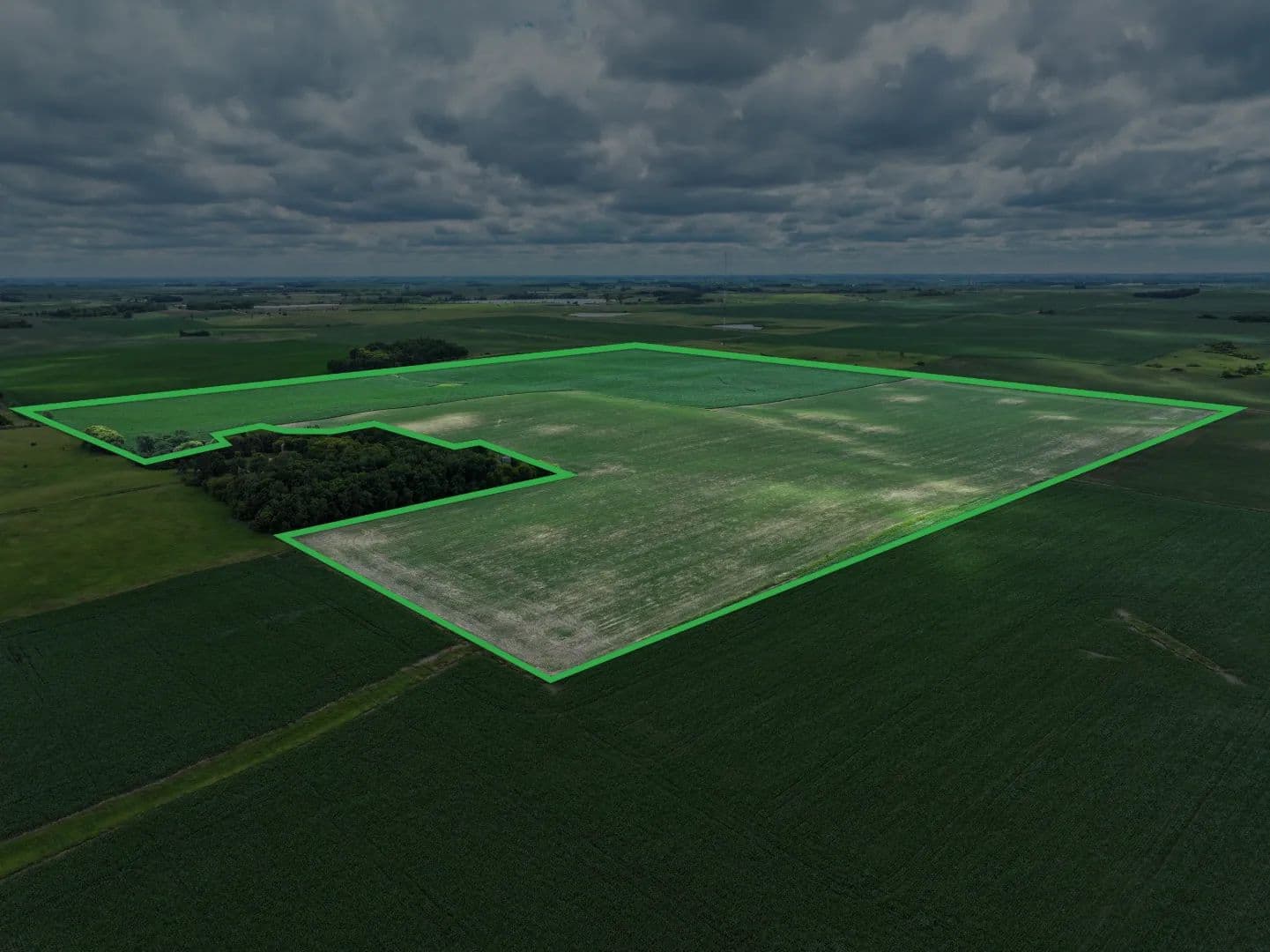 150.31± Acre Farm Auction Murray County - land for sale