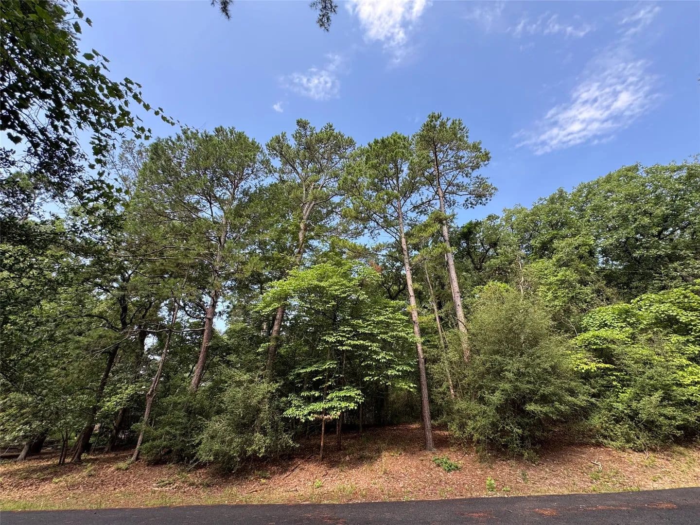 0.52 Acres of Land for Sale in Holly Lake Ranch, TX - Holly Lake Ranch, Texas, 75765