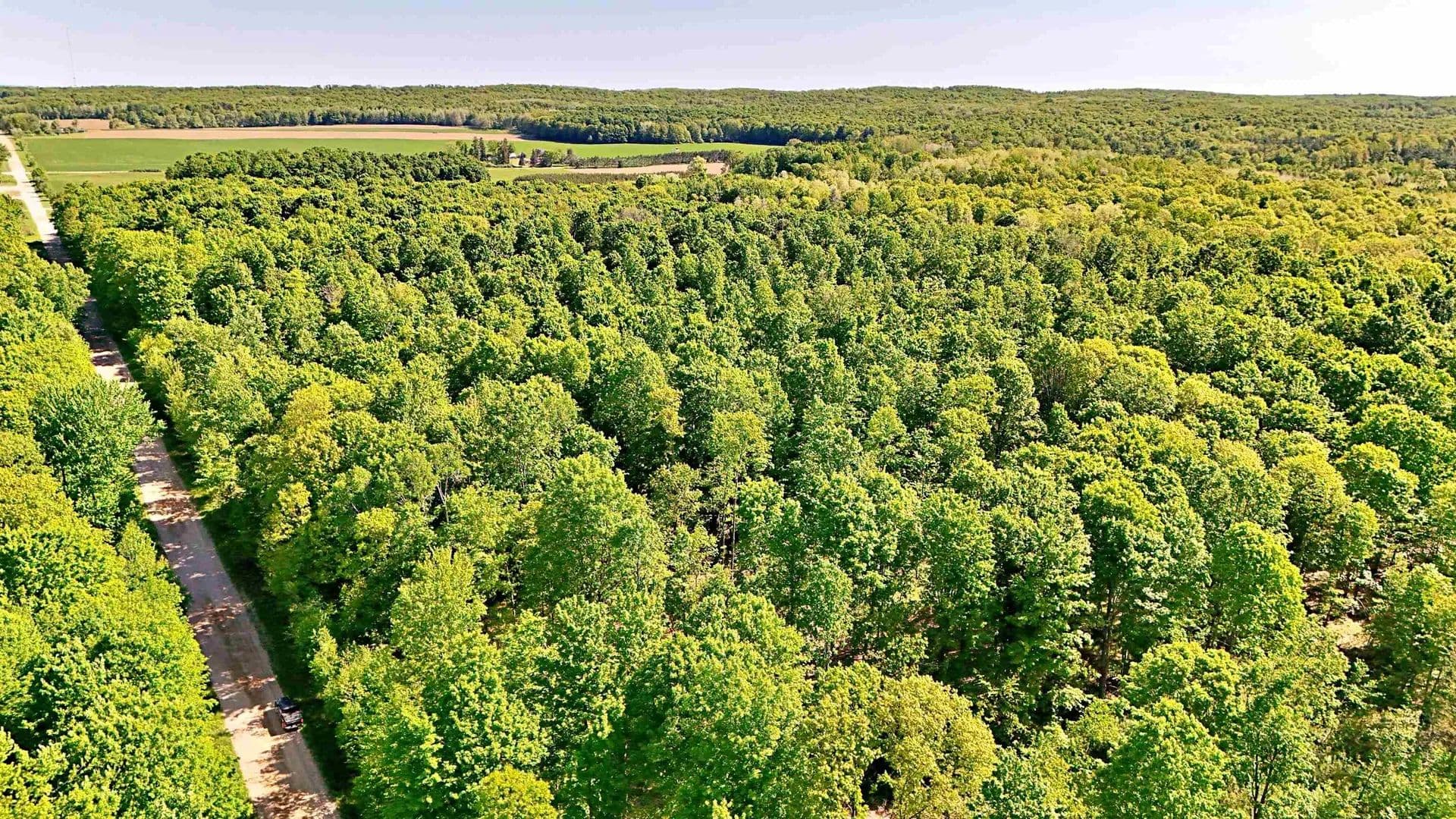 Property from VL S 9 Mile Road - KW - , Michigan, 49632