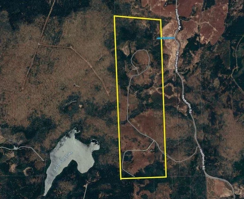 200 Acres of Land for Sale in Alder River, NS - land for sale