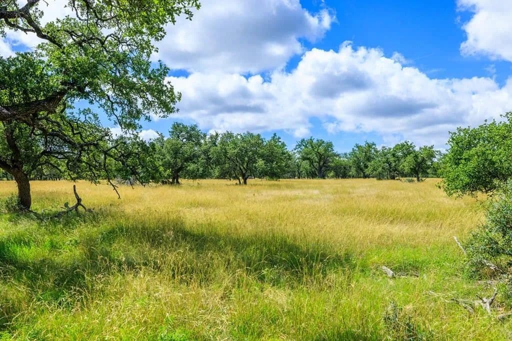9.31 Acres of Land for Sale in Harper, TX - Harper, Texas, 78631