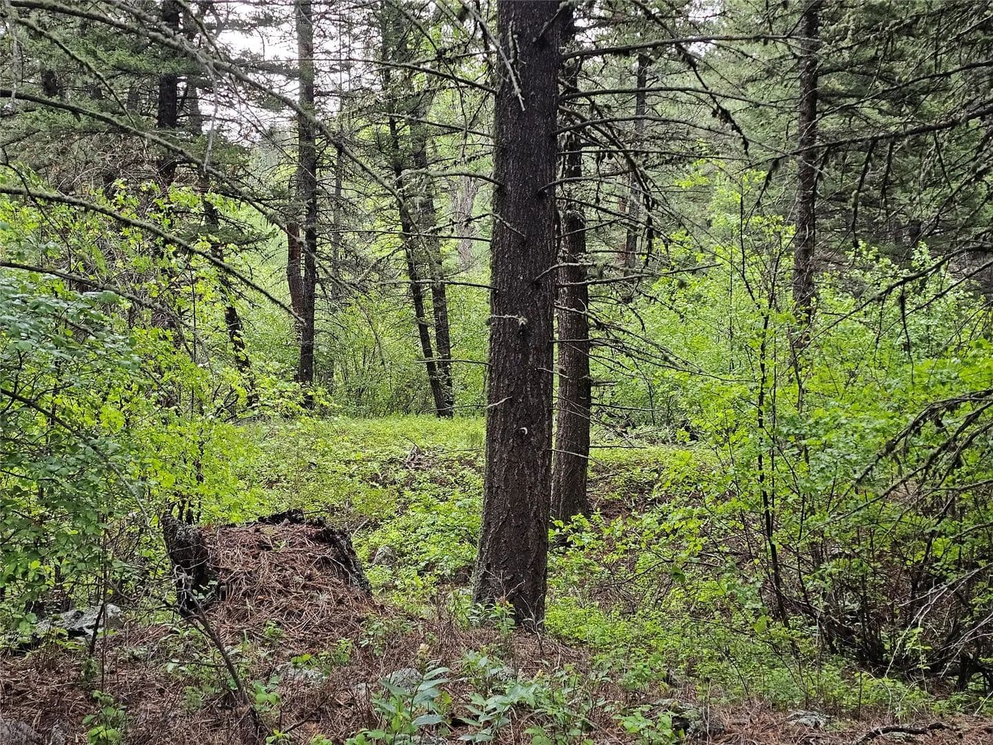 Property from NHN Upper Sawmill Creek Lane - KW - Cascade, Montana, 59421