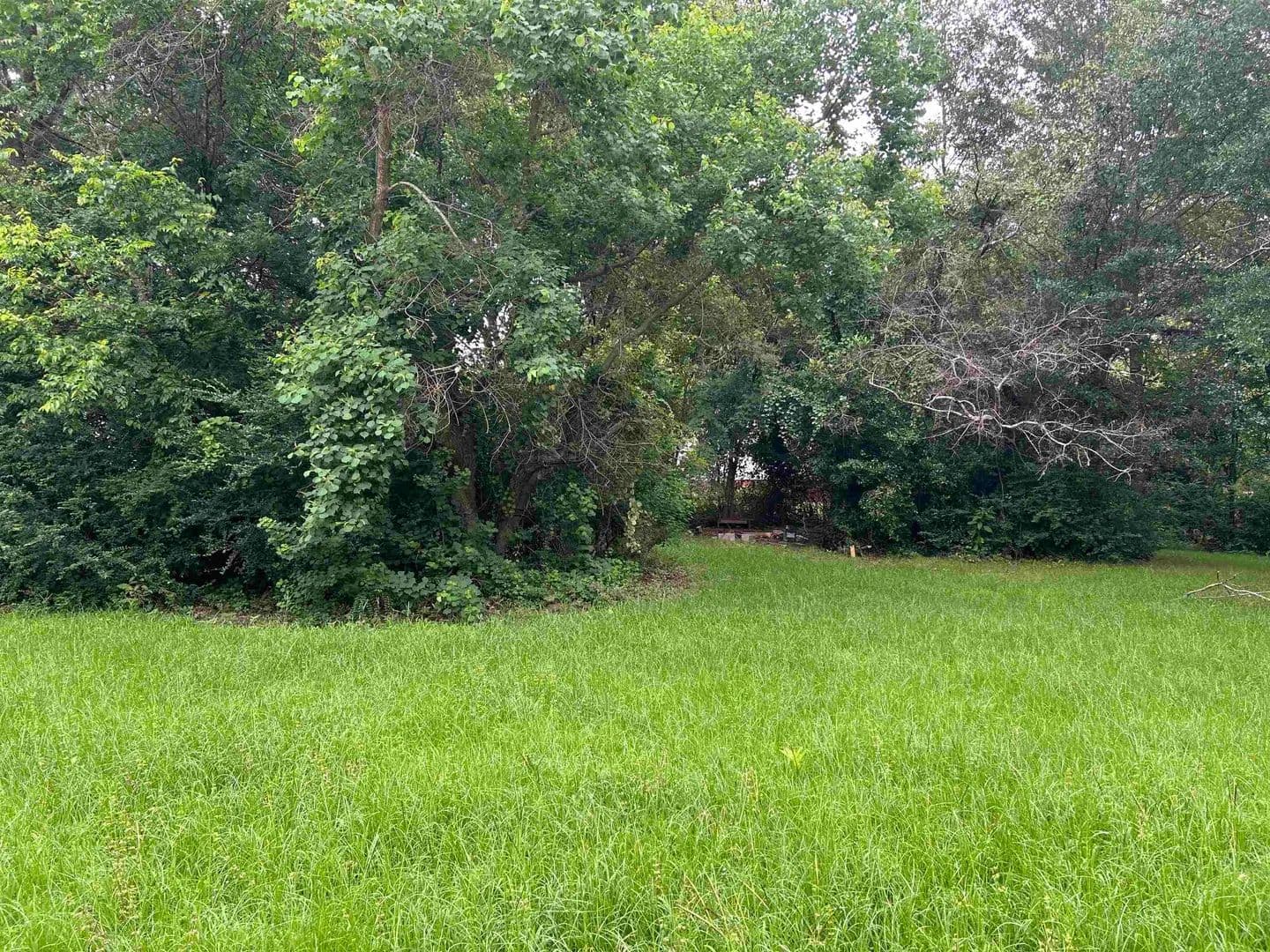 0.33 Acres of Land for Sale in Marshall, Texas - Marshall, Texas, 75670