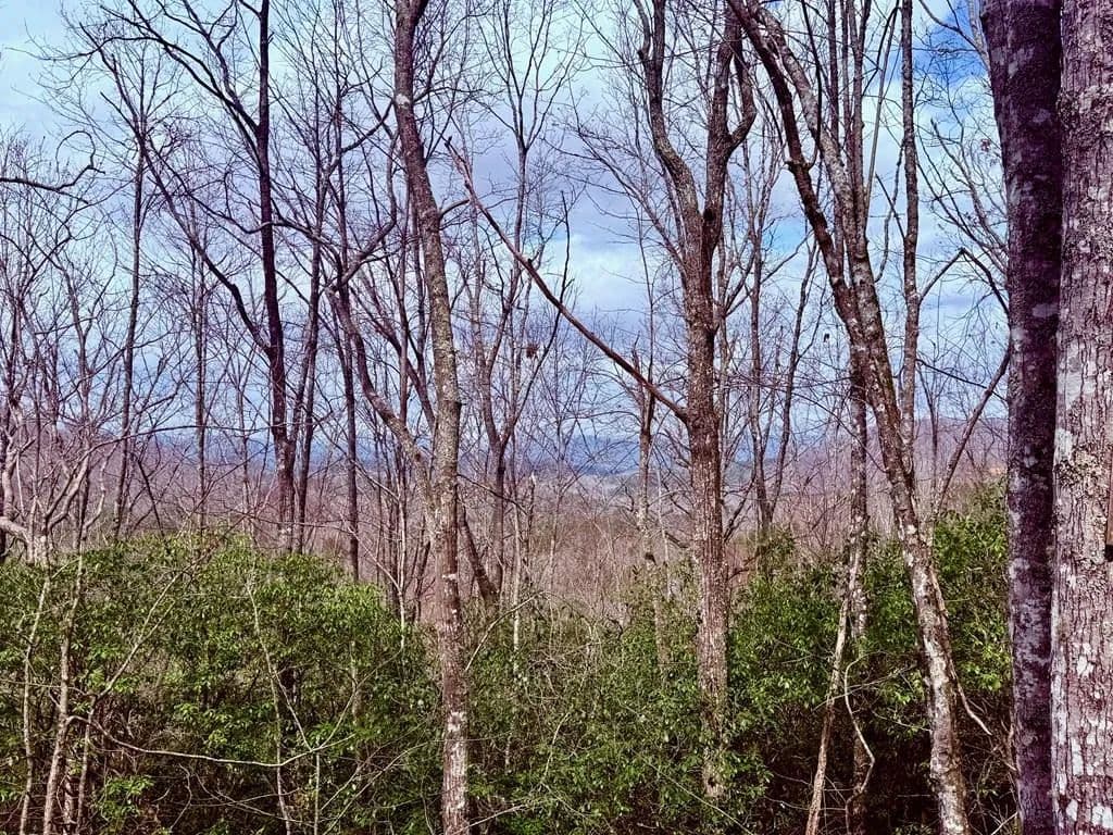 Property from 3.06 Ac Ridgeline Drive - KW - Brasstown, South Carolina, 29802