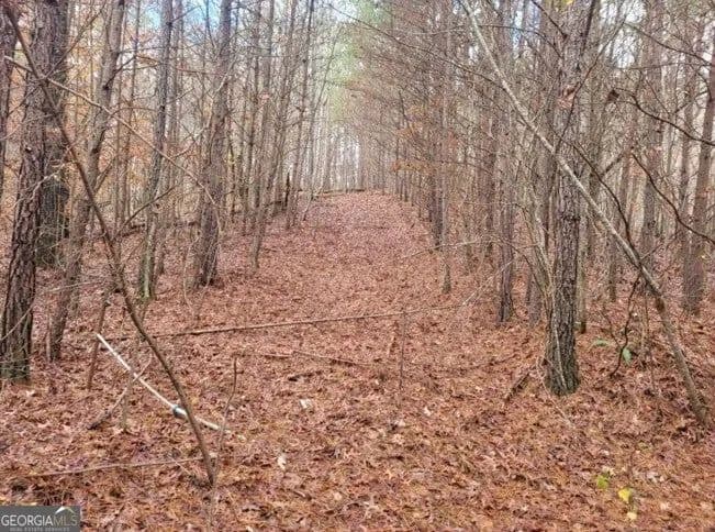 Property from 18.22 Talona Road - KW - Ellijay, Georgia, 30540