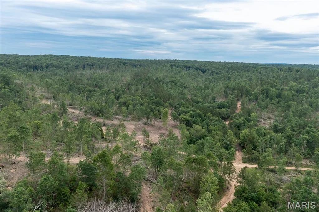 Property from Tract 2 Hidden Valley - KW - Annapolis, Missouri, 63645