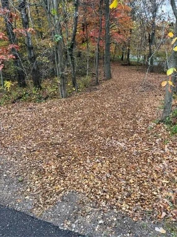 Property from Lot 4 Tiger Street NW - KW - Princeton, Minnesota, 55371