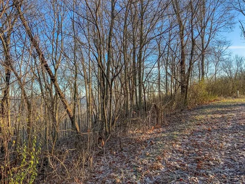 Drake and Martin Rd - 13 acres - Muskingum County