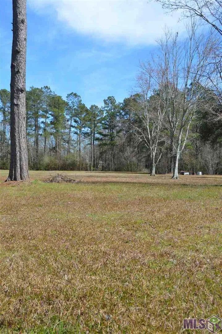 0.74 Acres of Land for Sale in Denham Springs, Louisiana - Denham Springs, Louisiana, 70726