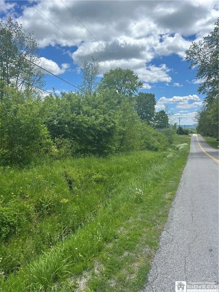 Property from Belleview Road E - KW - Bemus Point, New York, 14712
