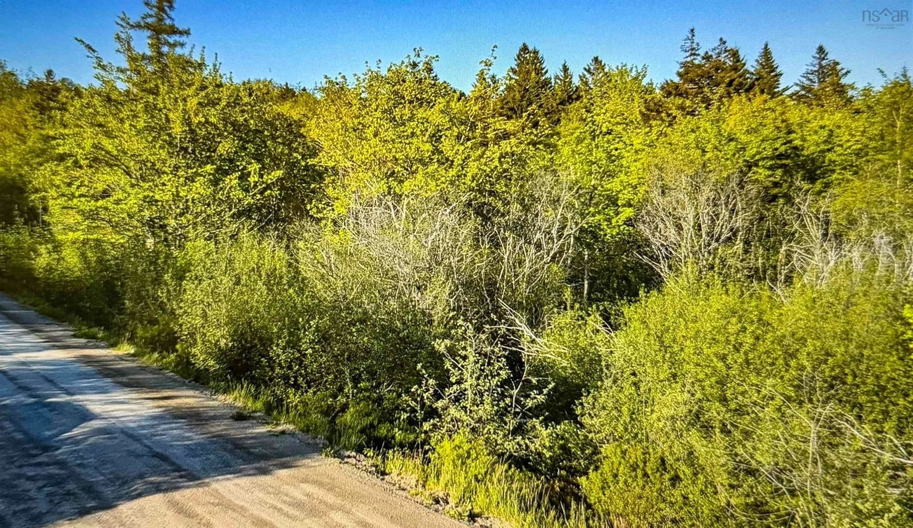 Property from Jordantown Cross Road - KW - Canada