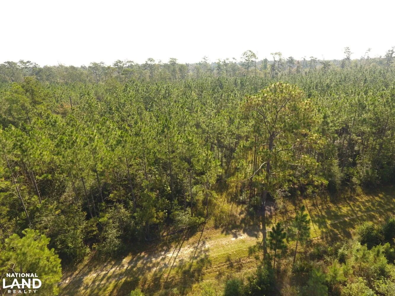 Comanche Road 128 - Ragley, Louisiana, 70657
