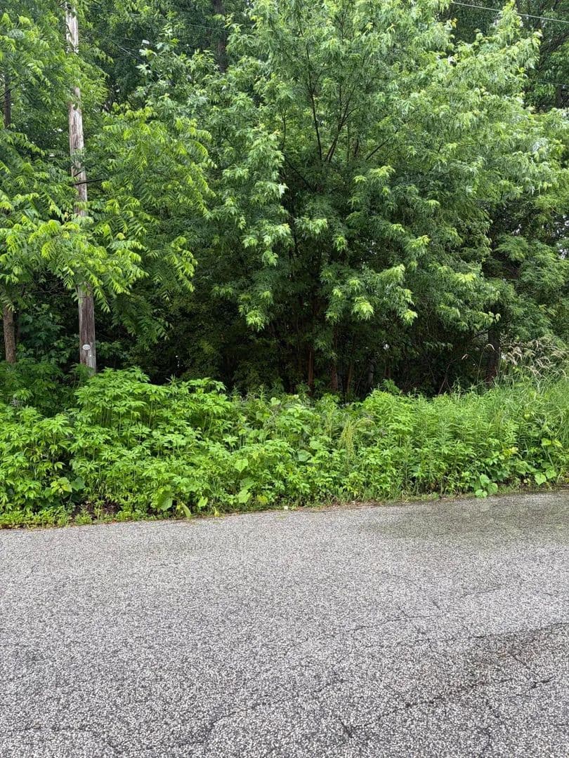 Property from 300 Harrison Avenue - KW - Hobart, Indiana, 46342