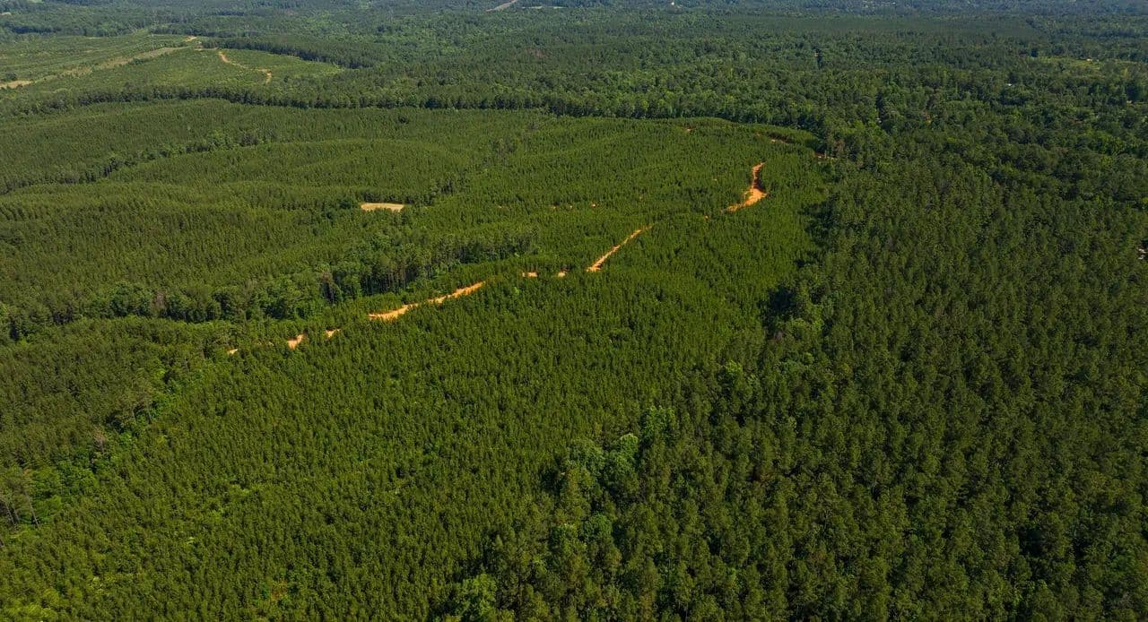 Grey Hill | 58 Acres in Bibb County, AL - West Blocton, Alabama, 35184