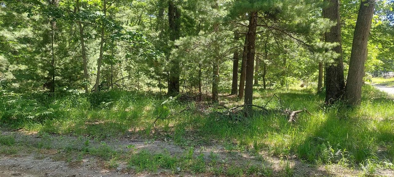 0.92 Acres of Land for Sale in Twin Lake, Michigan - Twin Lake, Michigan, 49457