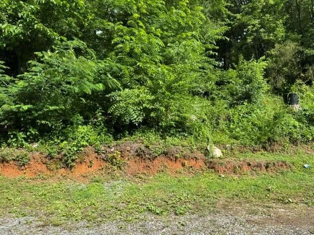 Property from 92 Benji Drive - KW - Ellijay, Georgia, 30540