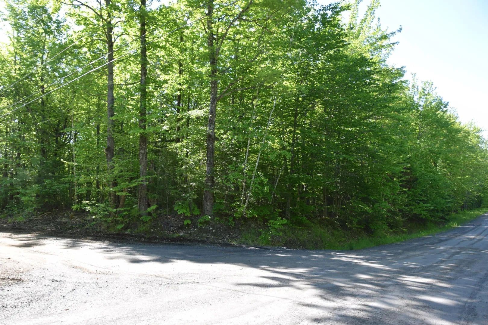52.6 Acres of Land for Sale in Embden, Maine - Embden, Maine, 04958