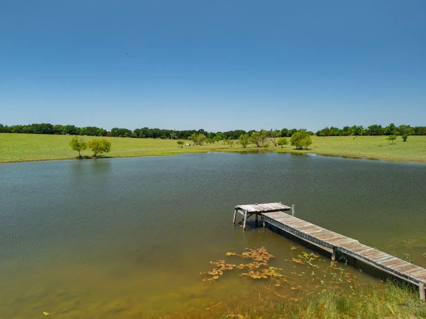 62.65-acre property located in Collin County - Blue Ridge, Texas, 75424