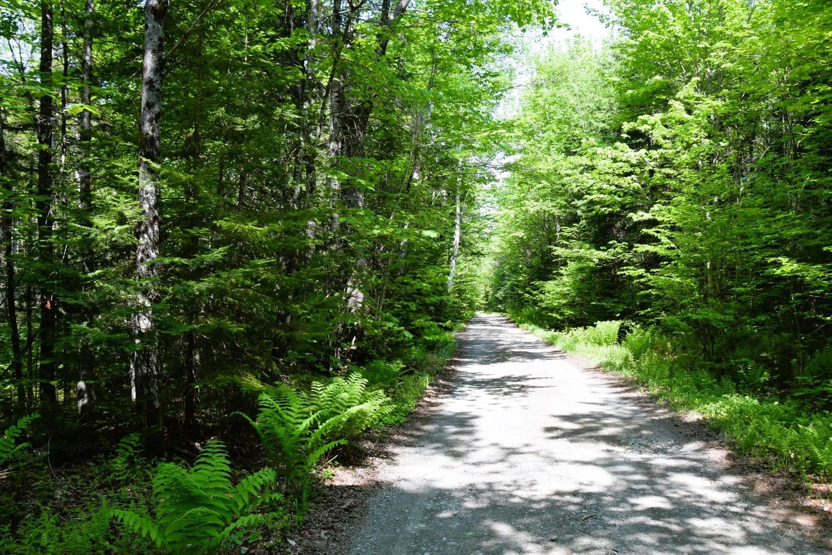 2.34 Acres of Land for Sale in Somerset County, Maine - Maine, 04961