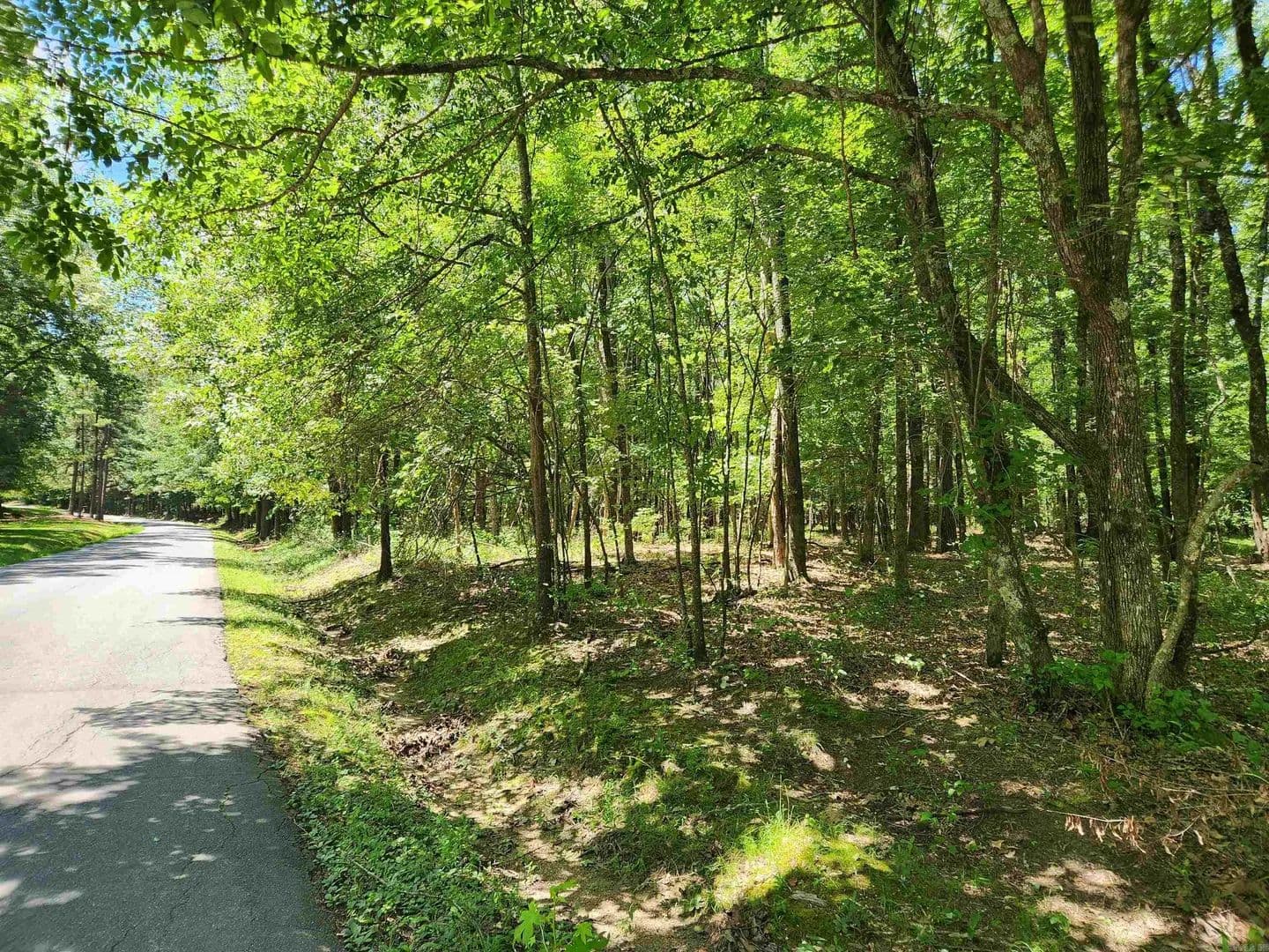 Property from 000 Roosevelt Drive - KW - Star City, Arkansas, 71667