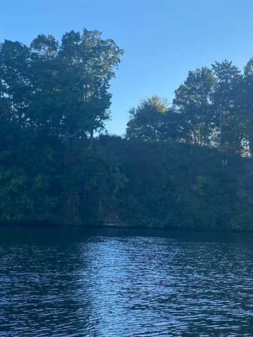 Land -Single Family Acreage in Florence