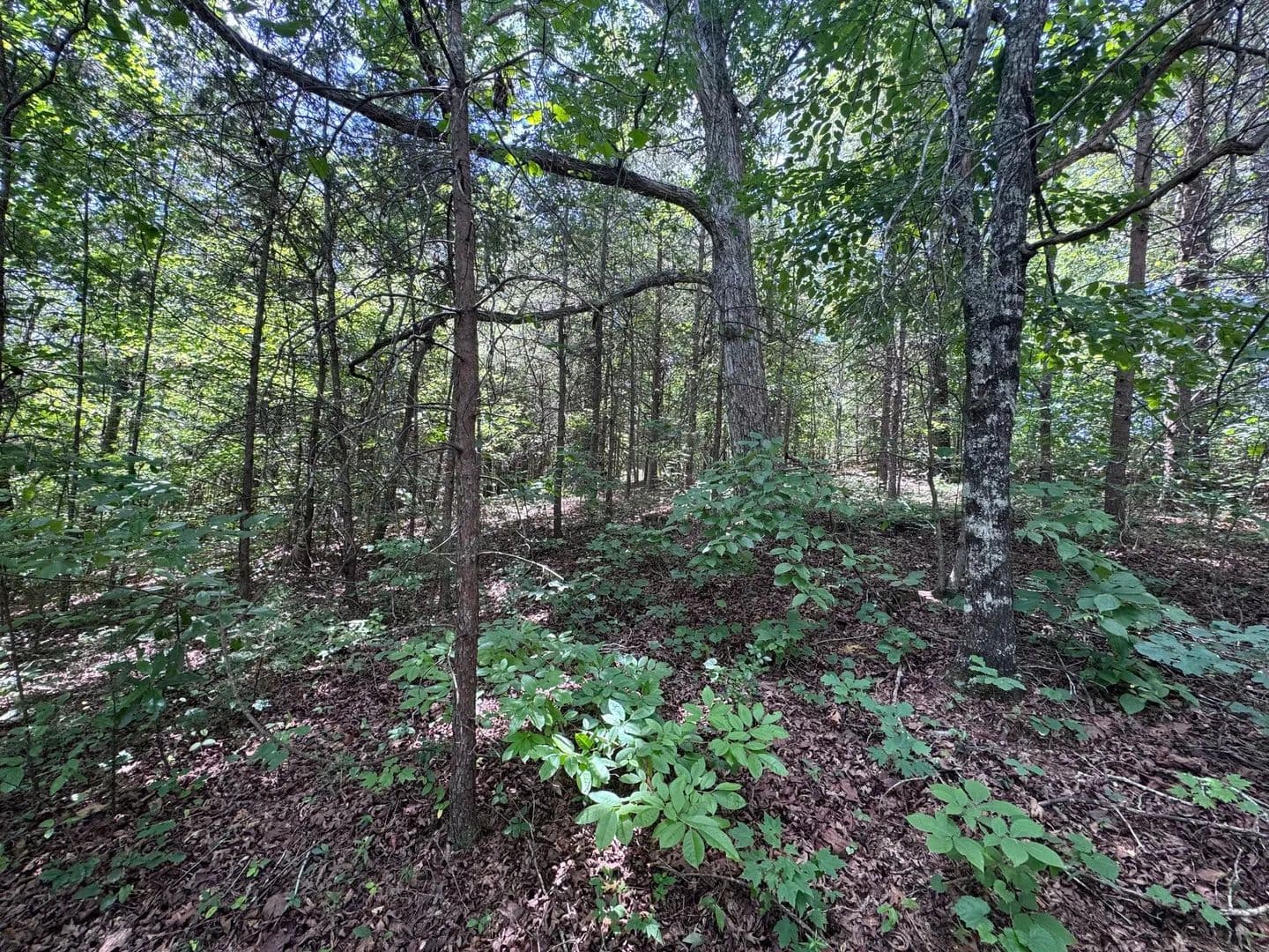 1.67 +/- Acres- Stephens County, GA - Toccoa, Georgia, 30577