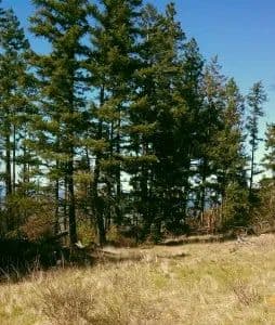 Wasson Canyon 160 Acres