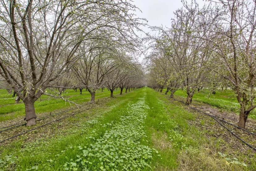 #1 Sierra Ave & N Kramer St.